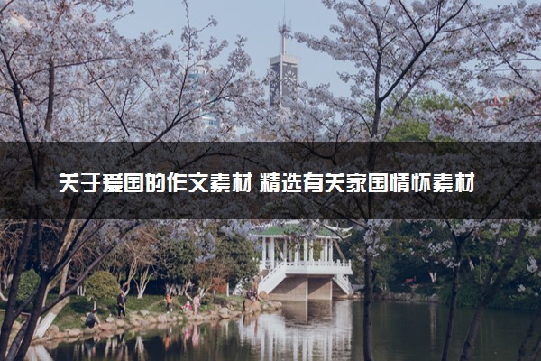 关于爱国的作文素材 精选有关家国情怀素材