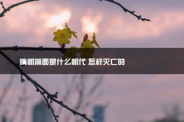 隋朝前面是什么朝代 怎样灭亡的