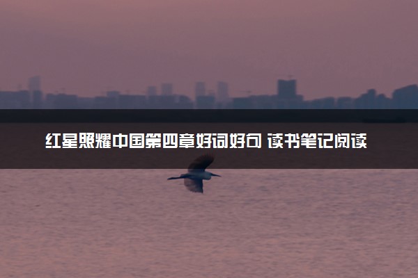 红星照耀中国第四章好词好句 读书笔记阅读感悟