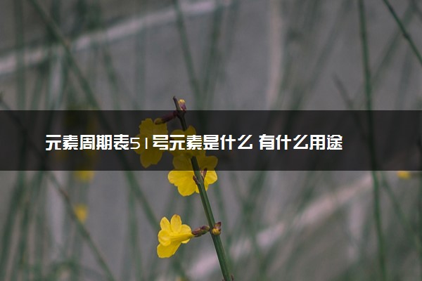 元素周期表51号元素是什么 有什么用途