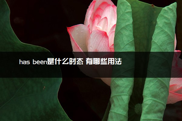 has been是什么时态 有哪些用法