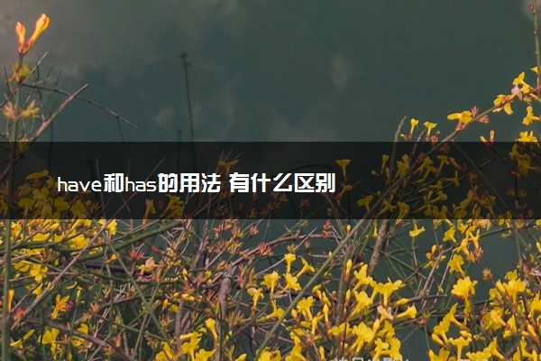 have和has的用法 有什么区别