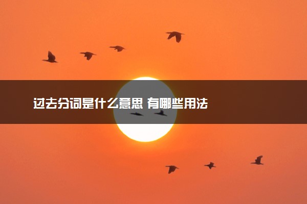 过去分词是什么意思 有哪些用法