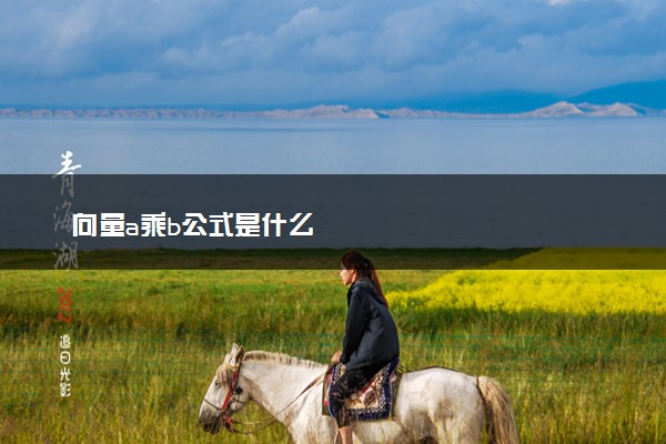 向量a乘b公式是什么