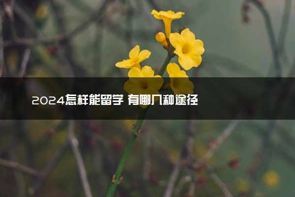 2024怎样能留学 有哪几种途径