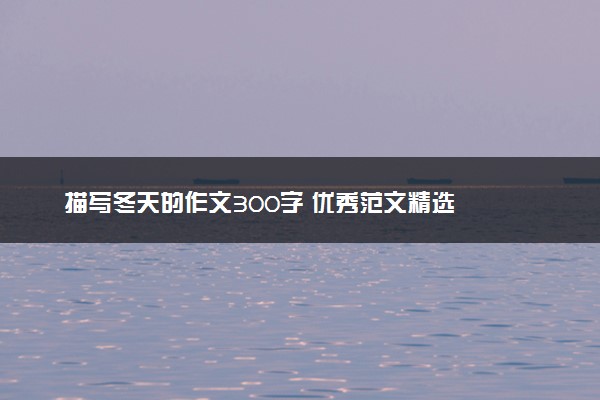 描写冬天的作文300字 优秀范文精选