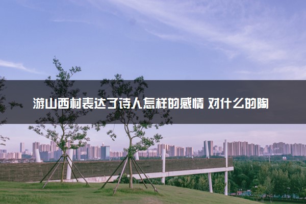 游山西村表达了诗人怎样的感情 对什么的陶醉