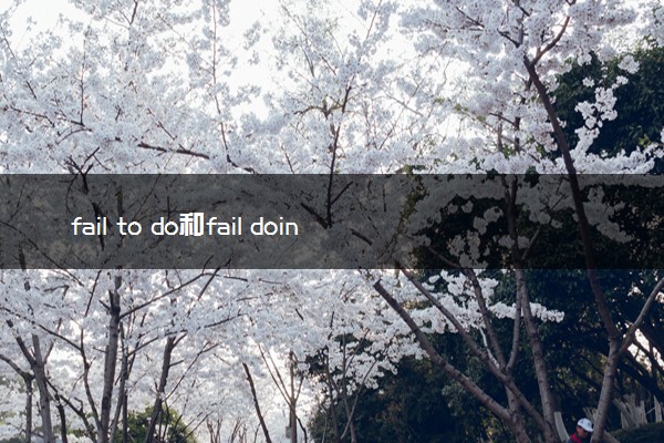 fail to do和fail doing的区别 二者有何不同