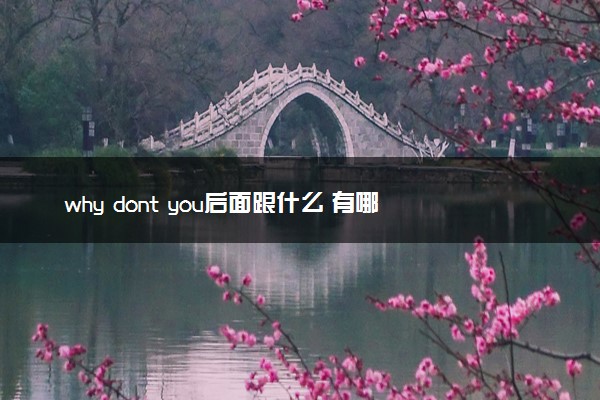 why dont you后面跟什么 有哪些例句