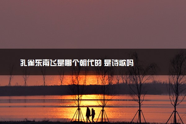 孔雀东南飞是哪个朝代的 是诗歌吗