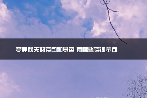 赞美秋天的诗句和景色 有哪些诗词金句