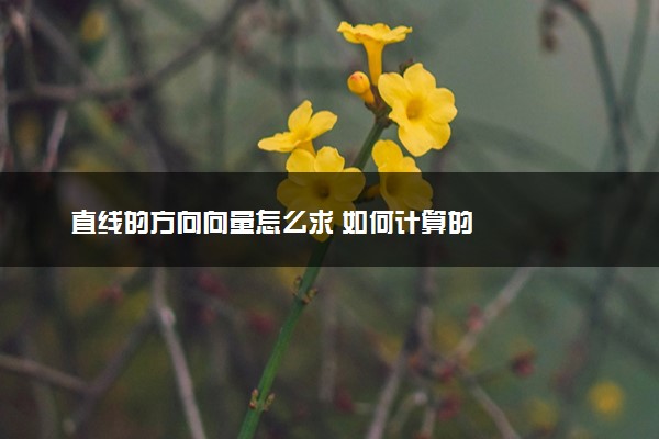 直线的方向向量怎么求 如何计算的