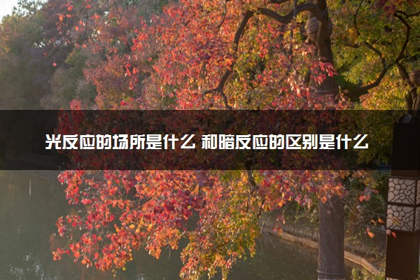 光反应的场所是什么 和暗反应的区别是什么