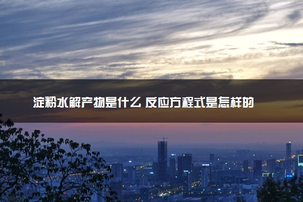 淀粉水解产物是什么 反应方程式是怎样的