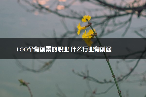 100个有前景的职业 什么行业有前途