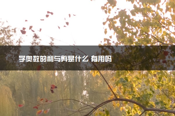 学奥数的利与弊是什么 有用吗