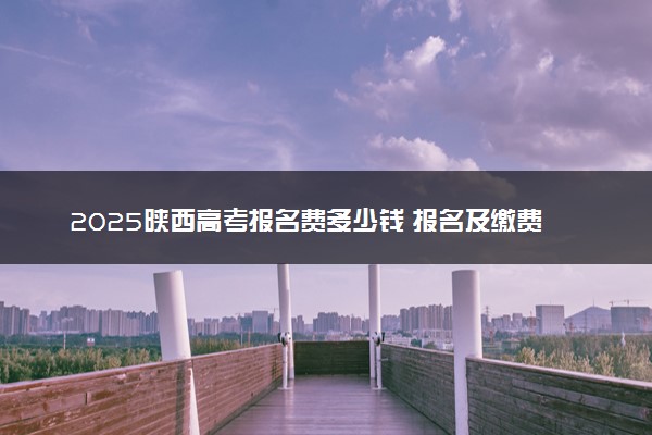 2025陕西高考报名费多少钱 报名及缴费入口