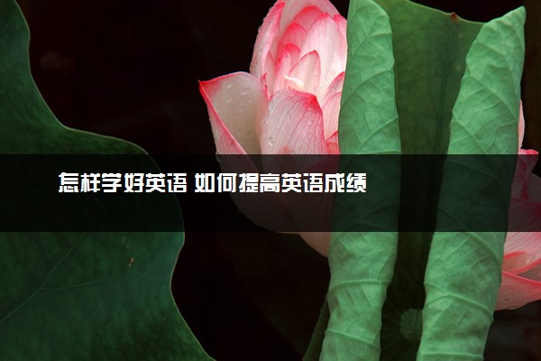 怎样学好英语 如何提高英语成绩