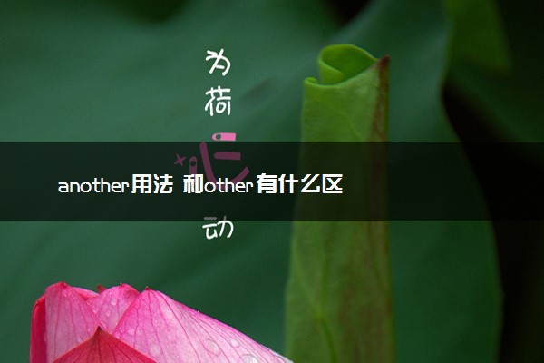 another用法 和other有什么区别