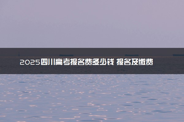 2025四川高考报名费多少钱 报名及缴费入口