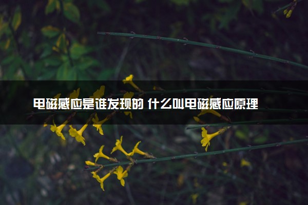 电磁感应是谁发现的 什么叫电磁感应原理