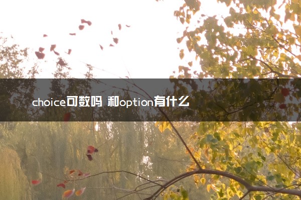 choice可数吗 和option有什么区别