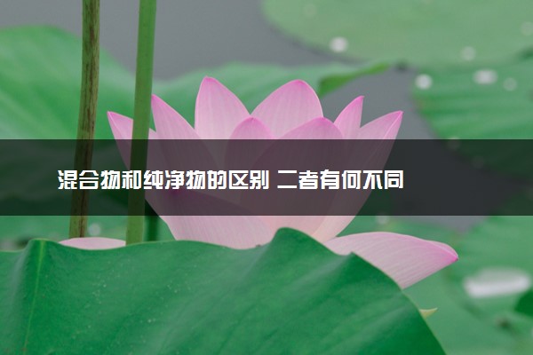 混合物和纯净物的区别 二者有何不同