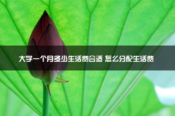 大学一个月多少生活费合适 怎么分配生活费合理