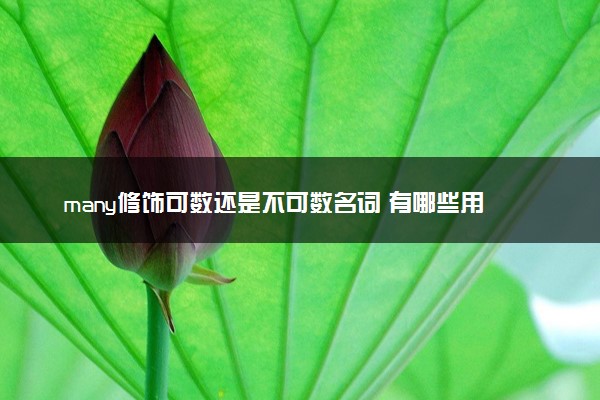 many修饰可数还是不可数名词 有哪些用法