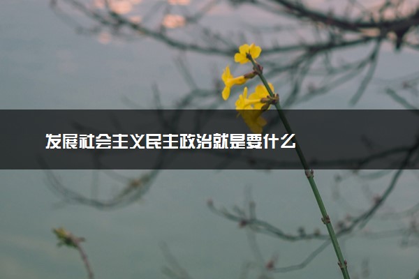 发展社会主义民主政治就是要什么