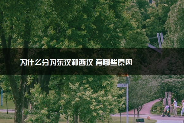 为什么分为东汉和西汉 有哪些原因