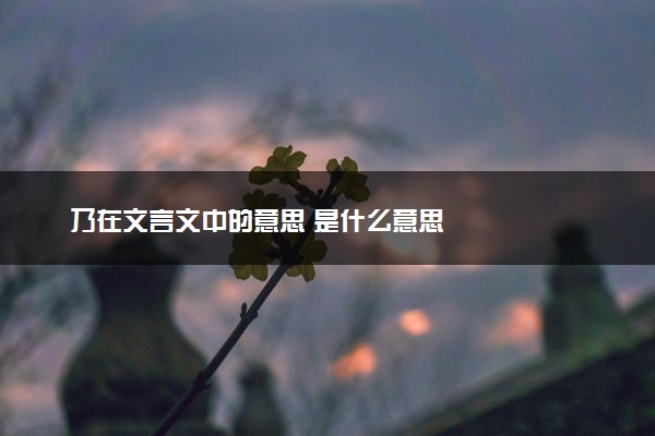 乃在文言文中的意思 是什么意思