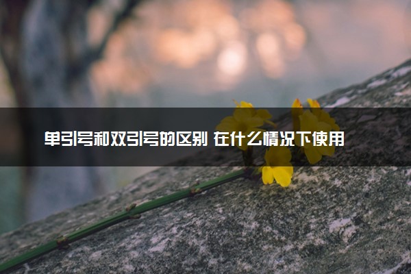 单引号和双引号的区别 在什么情况下使用