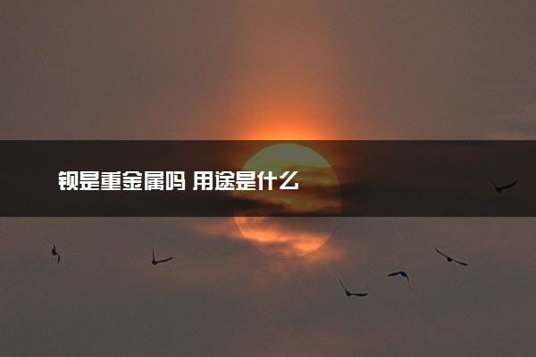 钡是重金属吗 用途是什么
