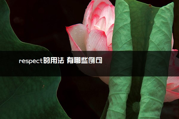 respect的用法 有哪些例句