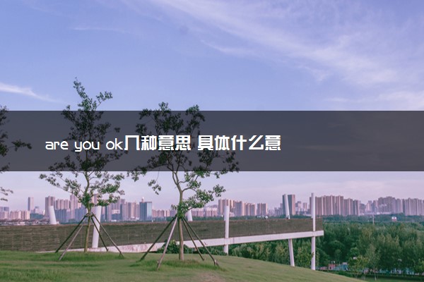 are you ok几种意思 具体什么意思