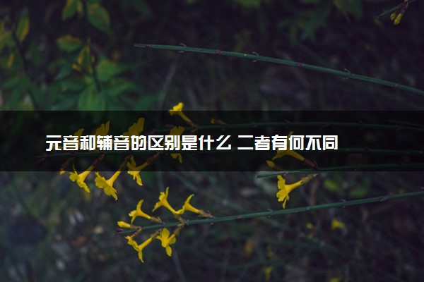 元音和辅音的区别是什么 二者有何不同