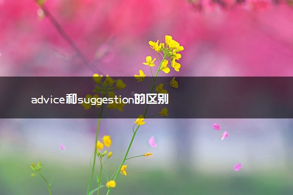 advice和suggestion的区别是什么 有哪些用法