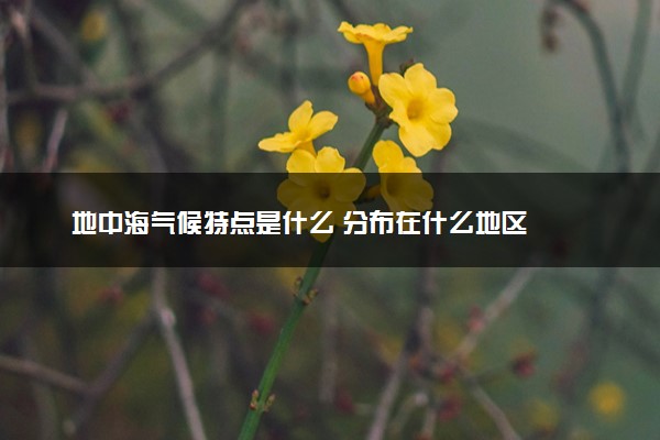 地中海气候特点是什么 分布在什么地区