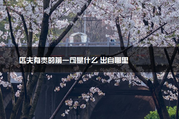 匹夫有责的前一句是什么 出自哪里