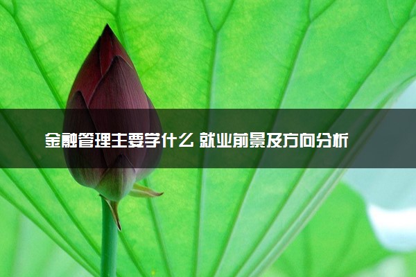 金融管理主要学什么 就业前景及方向分析