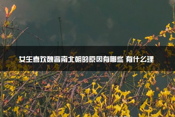 女生喜欢魏晋南北朝的原因有哪些 有什么理由