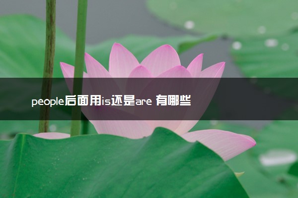 people后面用is还是are 有哪些用法