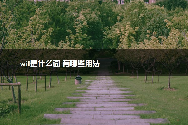 will是什么词 有哪些用法