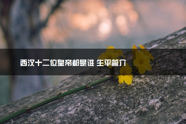 西汉十二位皇帝都是谁 生平简介