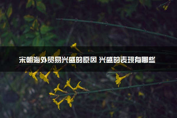宋朝海外贸易兴盛的原因 兴盛的表现有哪些