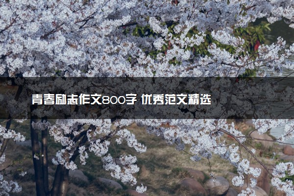 青春励志作文800字 优秀范文精选