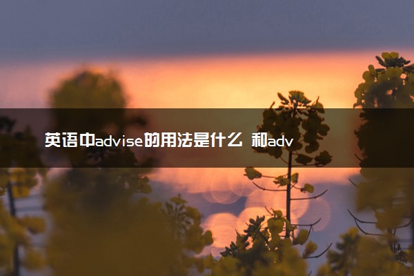 英语中advise的用法是什么 和advice的区别是什么