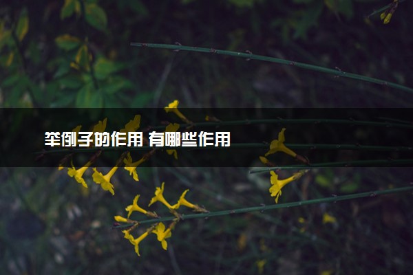 举例子的作用 有哪些作用