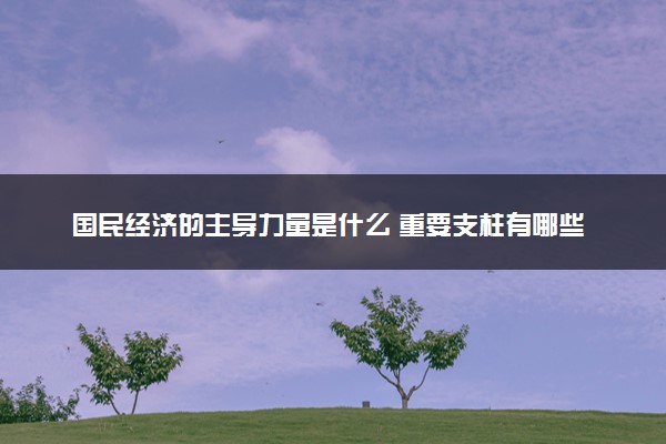国民经济的主导力量是什么 重要支柱有哪些